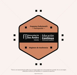 Certificación Régimen de Insolvencia - Universidad de los Andes